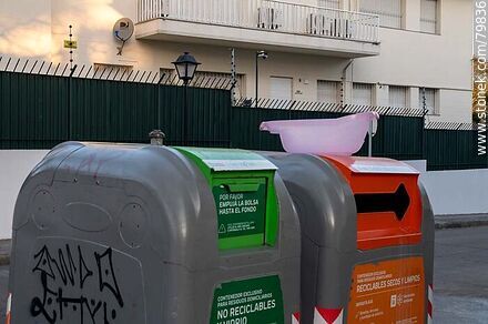 Palangana sobre contenedor de residuos -  - IMÁGENES VARIAS. Foto No. 79836