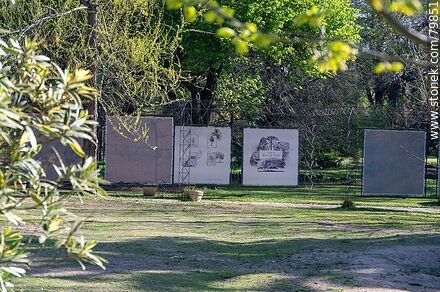 Serie Siluetas. Jardín Botánico - Departamento de Montevideo - URUGUAY. Foto No. 79851