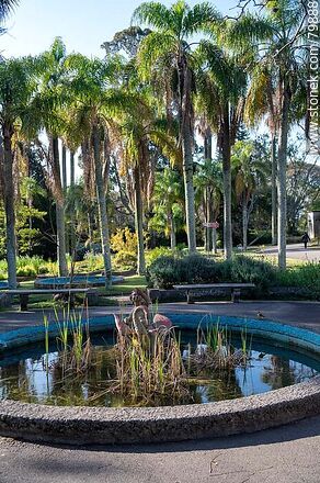 Fountain. Botanical Garden - Department of Montevideo - URUGUAY. Photo #79888