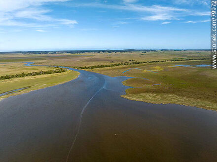 Aerial view of the source of the Valizas stream in the Castillos lagoon and the ombú trees on both banks - Department of Rocha - URUGUAY. Photo #79972