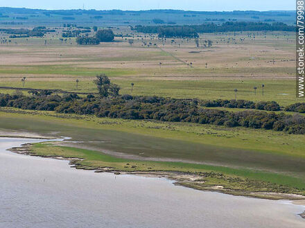 Aerial view of the Montegrande ombú grove on the shores of the Castillos lagoon - Department of Rocha - URUGUAY. Photo #79998