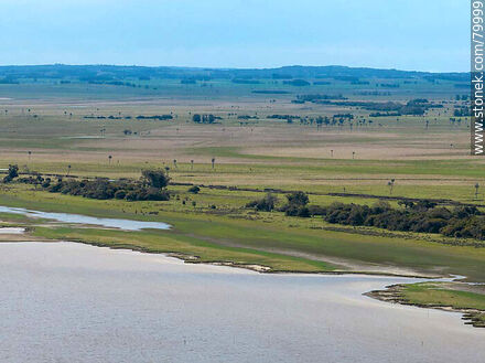 Aerial view of the Montegrande ombú grove on the shores of the Castillos lagoon - Department of Rocha - URUGUAY. Photo #79999