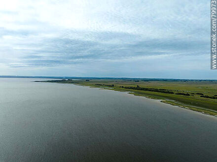 Aerial view of the Montegrande ombú grove on the shores of the Castillos lagoon - Department of Rocha - URUGUAY. Photo #79973