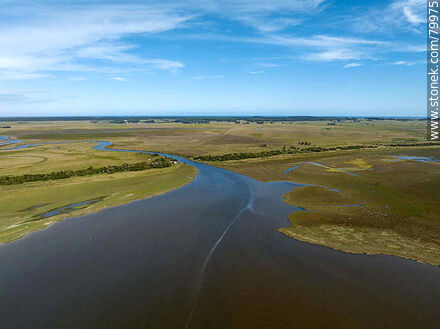 Aerial view of the ombú groves on both banks of the source of Valizas creek in Castillos lagoon - Department of Rocha - URUGUAY. Photo #79975
