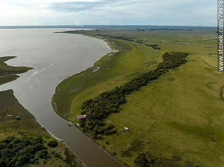 Aerial view of the Montegrande ombú grove on the shores of the Castillos lagoon - Department of Rocha - URUGUAY. Photo #79978