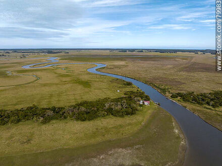 Aerial view of the ombú groves on both banks of the source of Valizas creek in Castillos lagoon - Department of Rocha - URUGUAY. Photo #79983