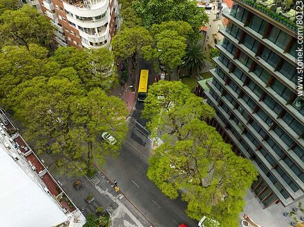 Vista aérea de la proa de las calles 26 de Marzo y Ellauri por sobre los árboles - Departamento de Montevideo - URUGUAY. Foto No. 80123