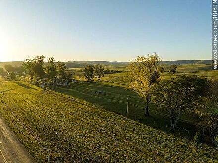 Vista aérea de campos a la vera de la Ruta 29 al atardecer - Departamento de Rivera - URUGUAY. Foto No. 80319