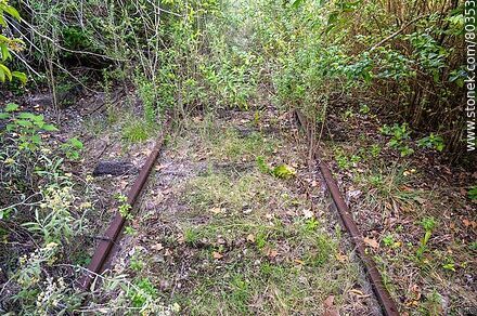 Railway tracks with many years of disuse at Chapicuy train station - Department of Paysandú - URUGUAY. Photo #80353
