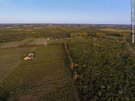 Aerial view of a field north of the city of Salto - Department of Salto - URUGUAY. Photo #80330
