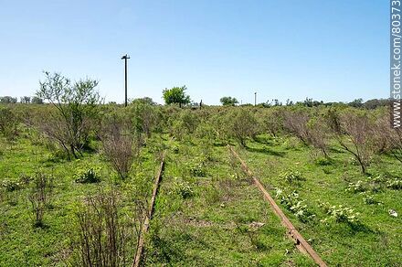 Antiguas vías de ferrocarril en Artigas - Departamento de Artigas - URUGUAY. Foto No. 80373