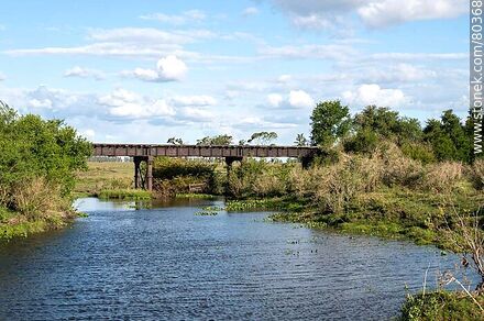 Railway bridge over a stream tributary to the Cuaró River - Artigas - URUGUAY. Photo #80368