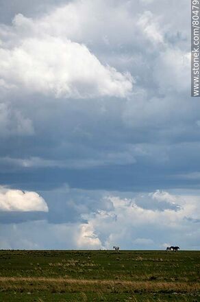 Caballos en el horizonte, campo y nubes - Departamento de Artigas - URUGUAY. Foto No. 80479