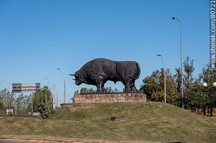 El toro de Paso de los Toros - Departamento de Tacuarembó - URUGUAY. Foto No. 80721