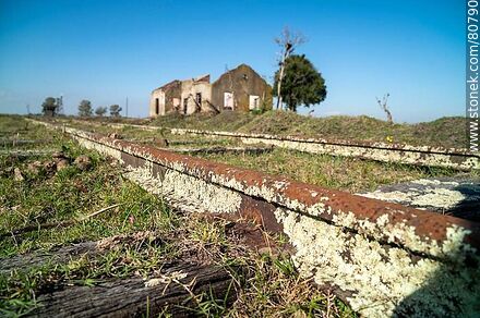 Old Totoral station, its remains. Lichens on the tracks - Department of Paysandú - URUGUAY. Photo #80790