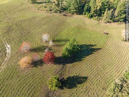Vista aérea de un tractor cortando el pasto - Departamento de Tacuarembó - URUGUAY. Foto No. 80877