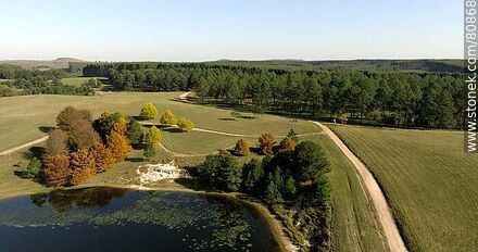 Aerial view of the second lake with autumn trees - Tacuarembo - URUGUAY. Photo #80868