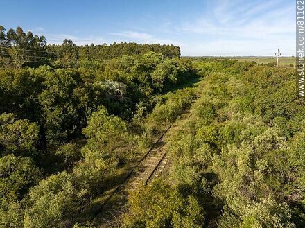 Aerial view of a channel between the bushes where the tracks of what was once the Rivas station are hidden - Department of Paysandú - URUGUAY. Photo #81102