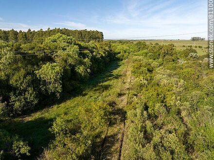 Aerial view of a channel between the bushes where the tracks of what was once the Rivas station are hidden - Department of Paysandú - URUGUAY. Photo #81100