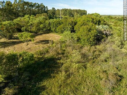 Vista aérea de un canal entre los arbustos donde se esconden las vías de lo que una vez fue la estación Rivas - Departamento de Paysandú - URUGUAY. Foto No. 81098