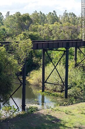 Railroad bridge over the Tres Cruces stream - Artigas - URUGUAY. Photo #81168