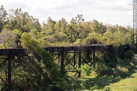 Puente ferroviario sobre el arroyo Tres Cruces - Departamento de Artigas - URUGUAY. Foto No. 81167