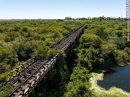 Aerial view of the old railroad bridge over the Arapey Grande River - Department of Salto - URUGUAY. Photo #81145