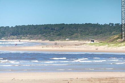 Playas de la costa atlántica - Departamento de Rocha - URUGUAY. Foto No. 81293