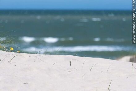 White sand with sea bottom - Department of Rocha - URUGUAY. Photo #81302