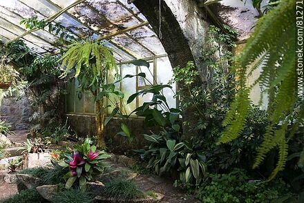 Greenhouse - Department of Rocha - URUGUAY. Photo #81271