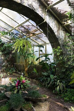 Greenhouse - Department of Rocha - URUGUAY. Photo #81272