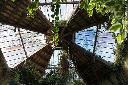 Greenhouse - Department of Rocha - URUGUAY. Photo #81273