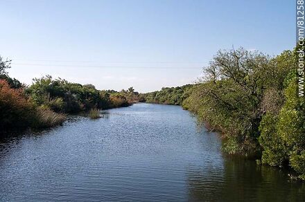 Salsipuedes Grande Creek - Department of Paysandú - URUGUAY. Photo #81258