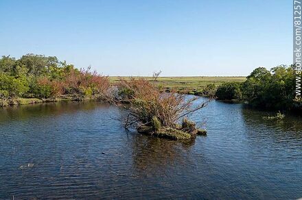 Salsipuedes Grande Creek - Department of Paysandú - URUGUAY. Photo #81257