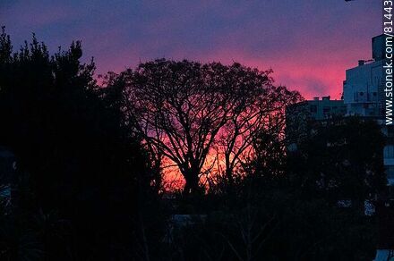 Reddish sunrise - Department of Montevideo - URUGUAY. Photo #81443