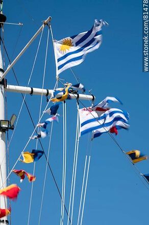 Uruguayan and nautical flags - Department of Montevideo - URUGUAY. Photo #81478