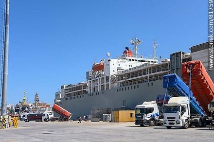 Carga de un buque en el muelle C del puerto - Departamento de Montevideo - URUGUAY. Foto No. 81759