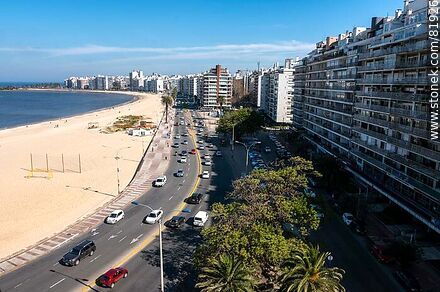 Pocitos Promenade from the top of a building - Department of Montevideo - URUGUAY. Photo #81926