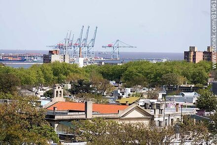 Houses, trees and harbor cranes - Department of Montevideo - URUGUAY. Photo #81961