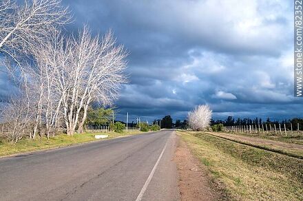 Avenida Magri un día de invierno con nubes y sol - Departamento de Lavalleja - URUGUAY. Foto No. 82352