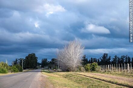 Avenida Magri un día de invierno con nubes y sol - Departamento de Lavalleja - URUGUAY. Foto No. 82353