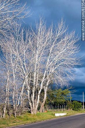 Magri Avenue on a winter day with clouds and sunshine - Lavalleja - URUGUAY. Photo #82354