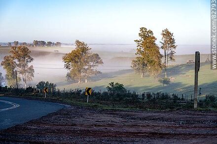Morning fog in the field -  - URUGUAY. Photo #82793