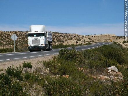 Camión en la ruta 11 - Chile - Otros AMÉRICA del SUR. Foto No. 82923