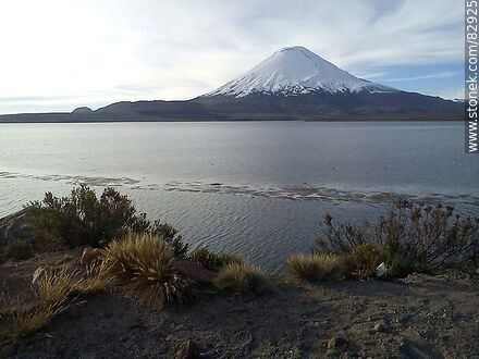 Lago Chungará y volcán Parinacota - Chile - Otros AMÉRICA del SUR. Foto No. 82925