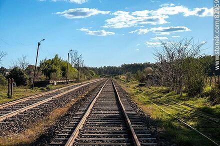 Algorta train station. Tracks to Paysandú - Rio Negro - URUGUAY. Photo #82959