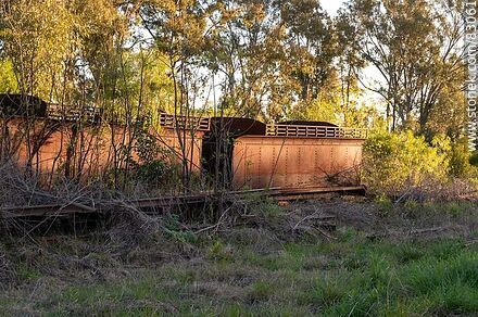 Estación de ferrocarril Porvenir. Viejos vagones de hierro - Departamento de Paysandú - URUGUAY. Foto No. 83061