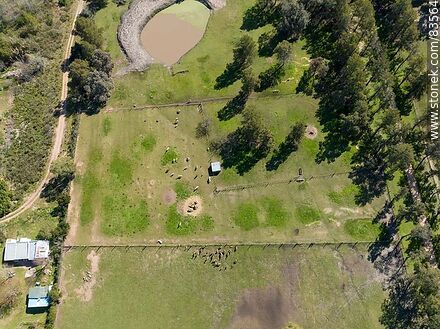 Vista aérea del ecoparque Tálice - Departamento de Flores - URUGUAY. Foto No. 83564