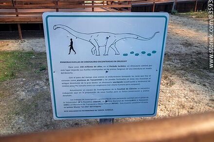 Museo Ruta de los Dinosaurios en ruta 26 - Departamento de Tacuarembó - URUGUAY. Foto No. 83593