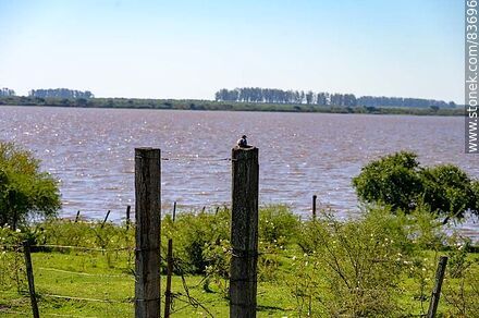 Costa sobre el río Uruguay - Departamento de Salto - URUGUAY. Foto No. 83696